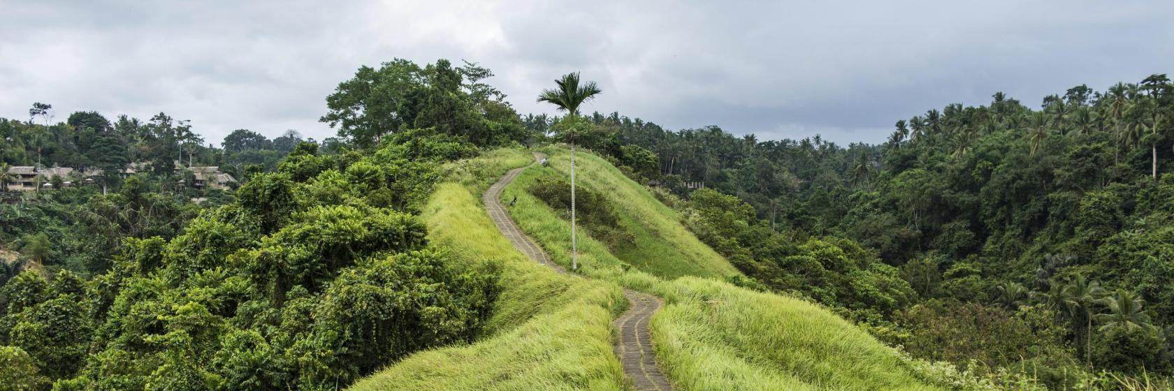 Ścieżka Campuhan Ridge